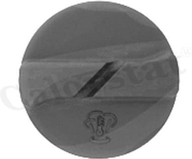 Cap, coolant tank RC0005