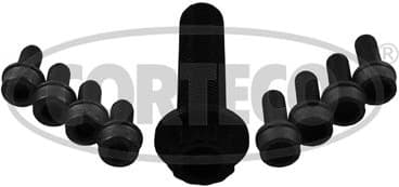 Bolt vibration damper 80004916