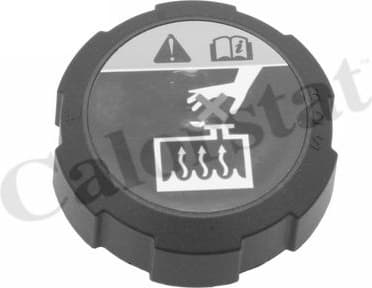Cap, coolant tank RC0200
