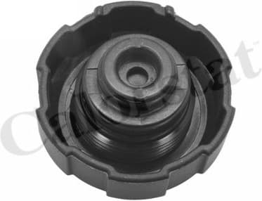 Cap, coolant tank RC0200 - image 2