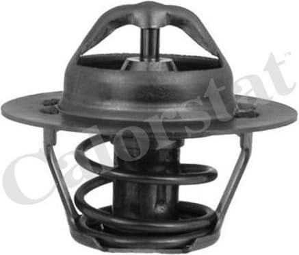 Thermostat TH5955.88J