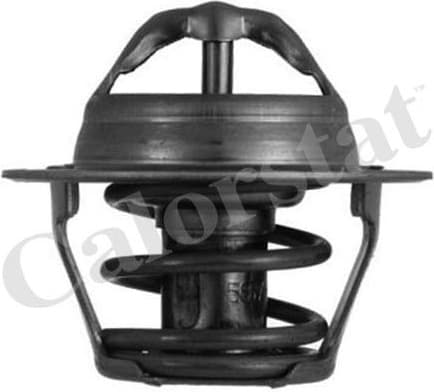 Thermostat, coolant TH4898.87J