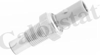 Sensor, coolant temperature WS3004