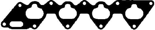 Gasket, intake manifold 450289P