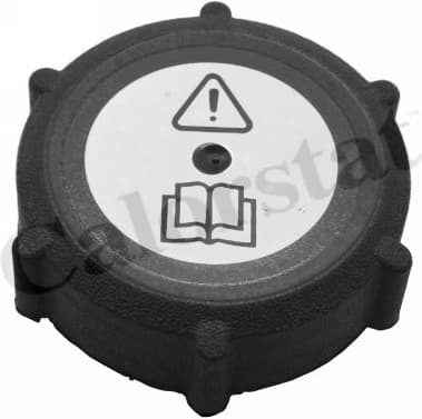 Cap, coolant tank RC0154