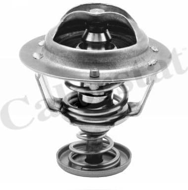 Thermostat, coolant TH6295.85J