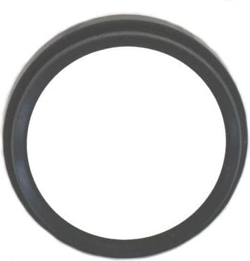 Shaft Seal, differential 19017584B