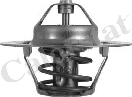 Thermostat, coolant TH4608.80J