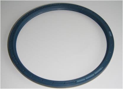 Shaft Seal, wheel hub 01019888B