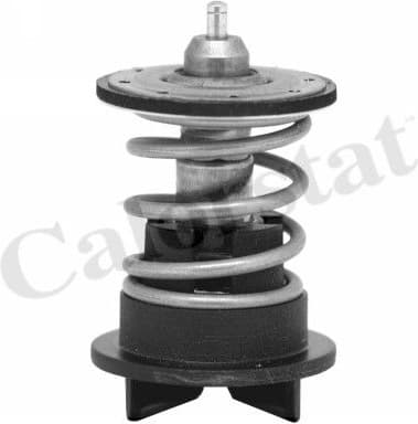 Thermostat, coolant TH7272.89