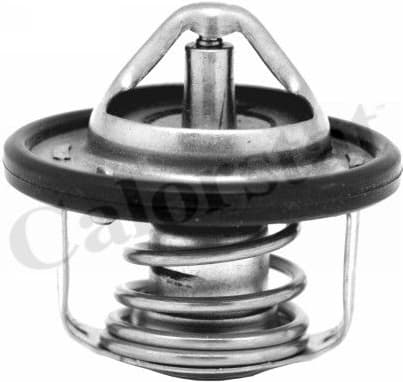 Thermostat, coolant TH7184.88J