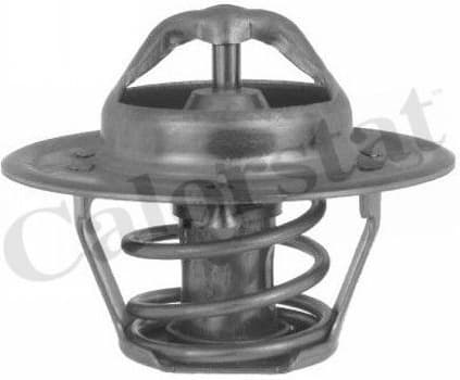 Thermostat, coolant TH5504.88J