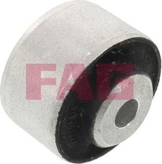 Mounting, control/trailing arm 829037110