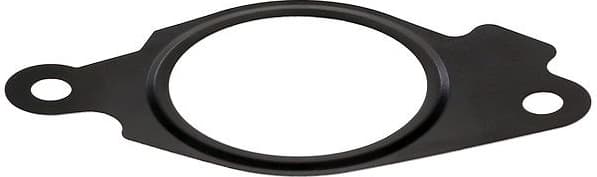 Gasket, EGR valve 689.330