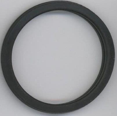 Seal Ring 027.450