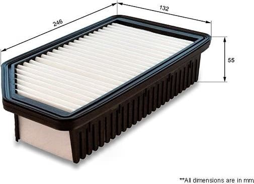 Air Filter EAF859