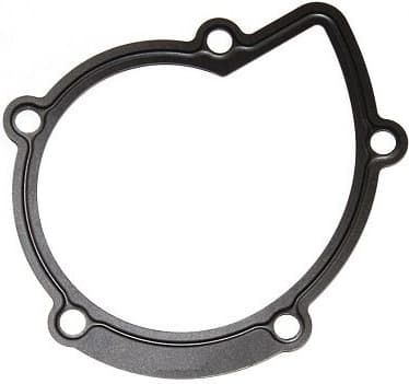 Gasket water pump 394.280