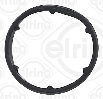Seal Ring, coolant pipe 875.970