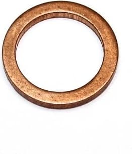 Seal Ring 107.409