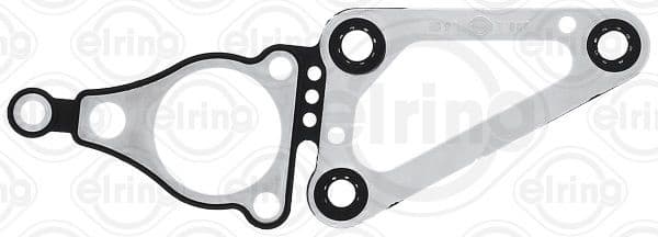 Gasket, timing case 568.970