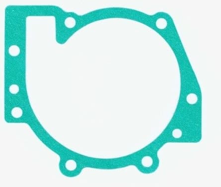 Gasket, water pump 393.841