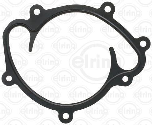 Gasket, water pump 540.880