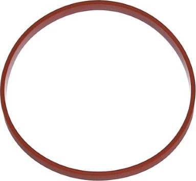 Gasket, intake manifold housing 595.300