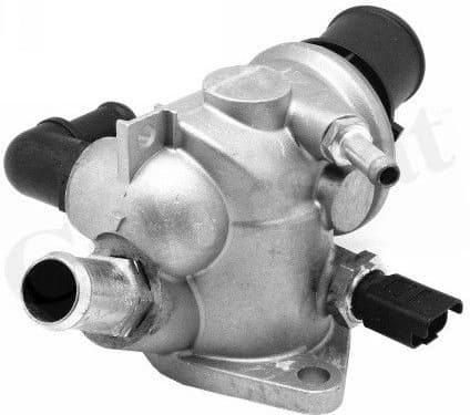 Thermostat, coolant TH6824.88J