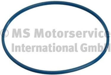 Seal, fuel tank cap 3.32038.04.0