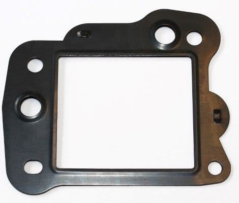 Gasket, EGR valve 449.550