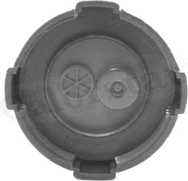 Cap, coolant tank RC0001 - image 2