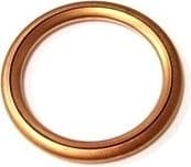Seal Ring 813.168