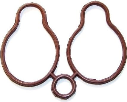 Gasket, intake manifold 505.020