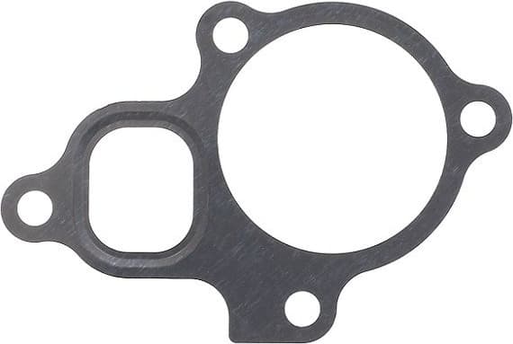 Gasket, thermostat housing 576.000