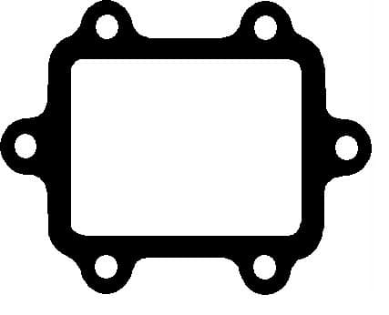 Gasket EGR valve 148.200