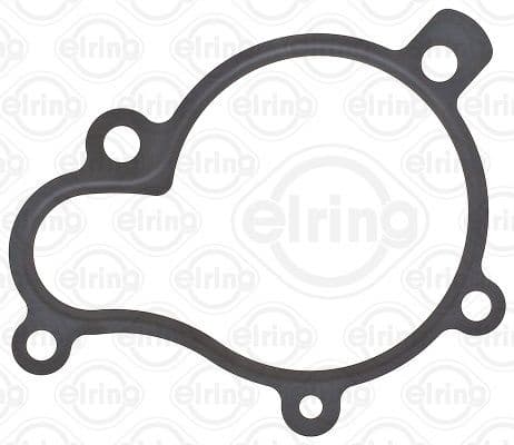 Gasket, water pump 648.930