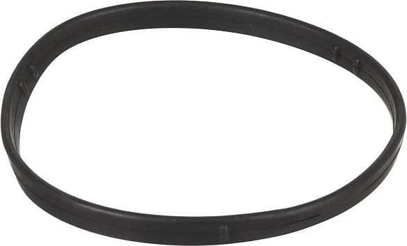 Seal, thermostat 773.870