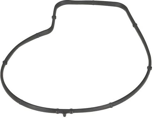 Gasket, water pump 773.830