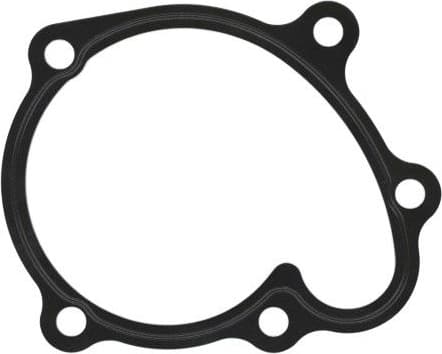 Gasket, water pump 238.460