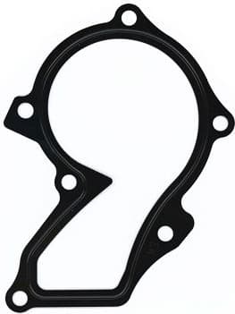 Gasket, water pump 264.420