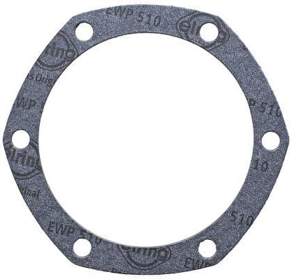 Gasket, timing case cover 774.031