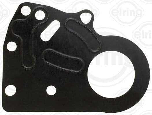 Gasket, timing case 876.510