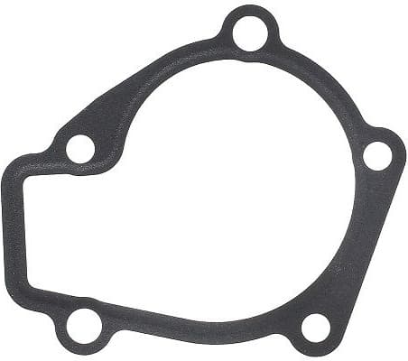 Gasket, water pump 453.030
