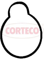 Gasket, intake manifold 450593H