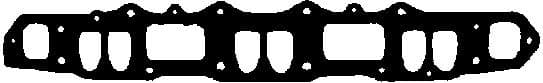 Gasket, intake/exhaust manifold 450455P