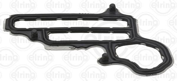 Gasket, timing case 534.961