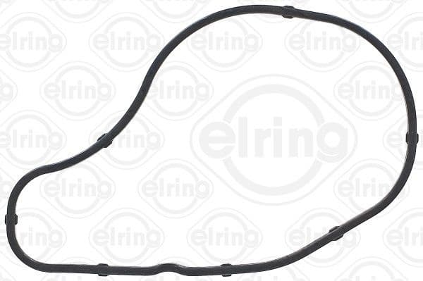 Gasket, timing case cover 648.290