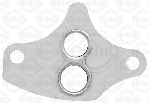 Gasket, EGR valve 876.870
