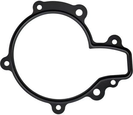 Gasket, water pump 373.600