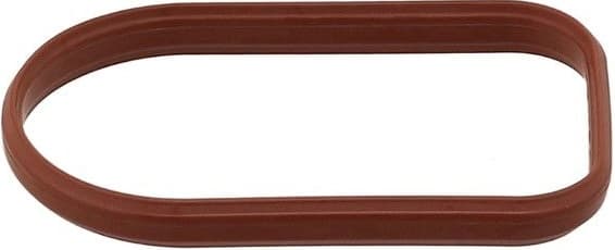 Gasket, intake manifold 907.560